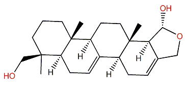 Mooloolabene I